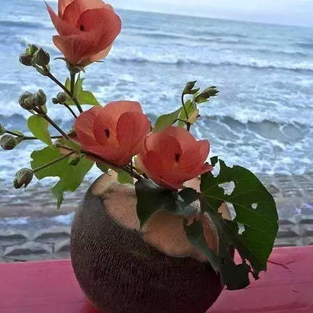 Bella Vista